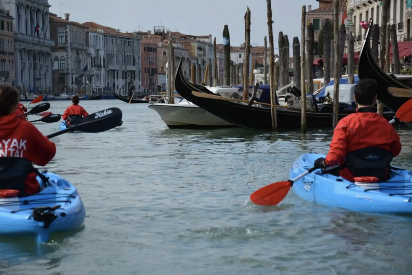 Tour in kayak nella Laguna
