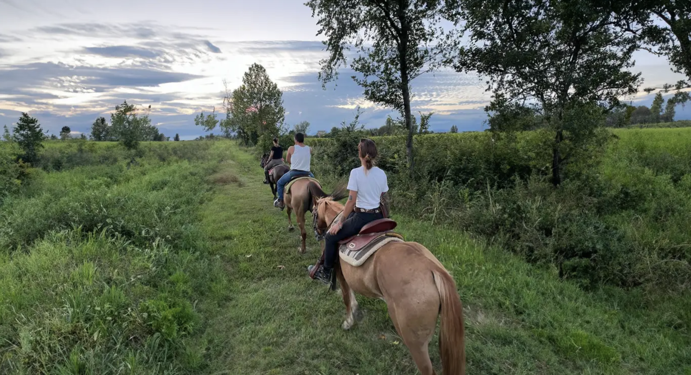 Passeggiata a cavallo tra i vigneti