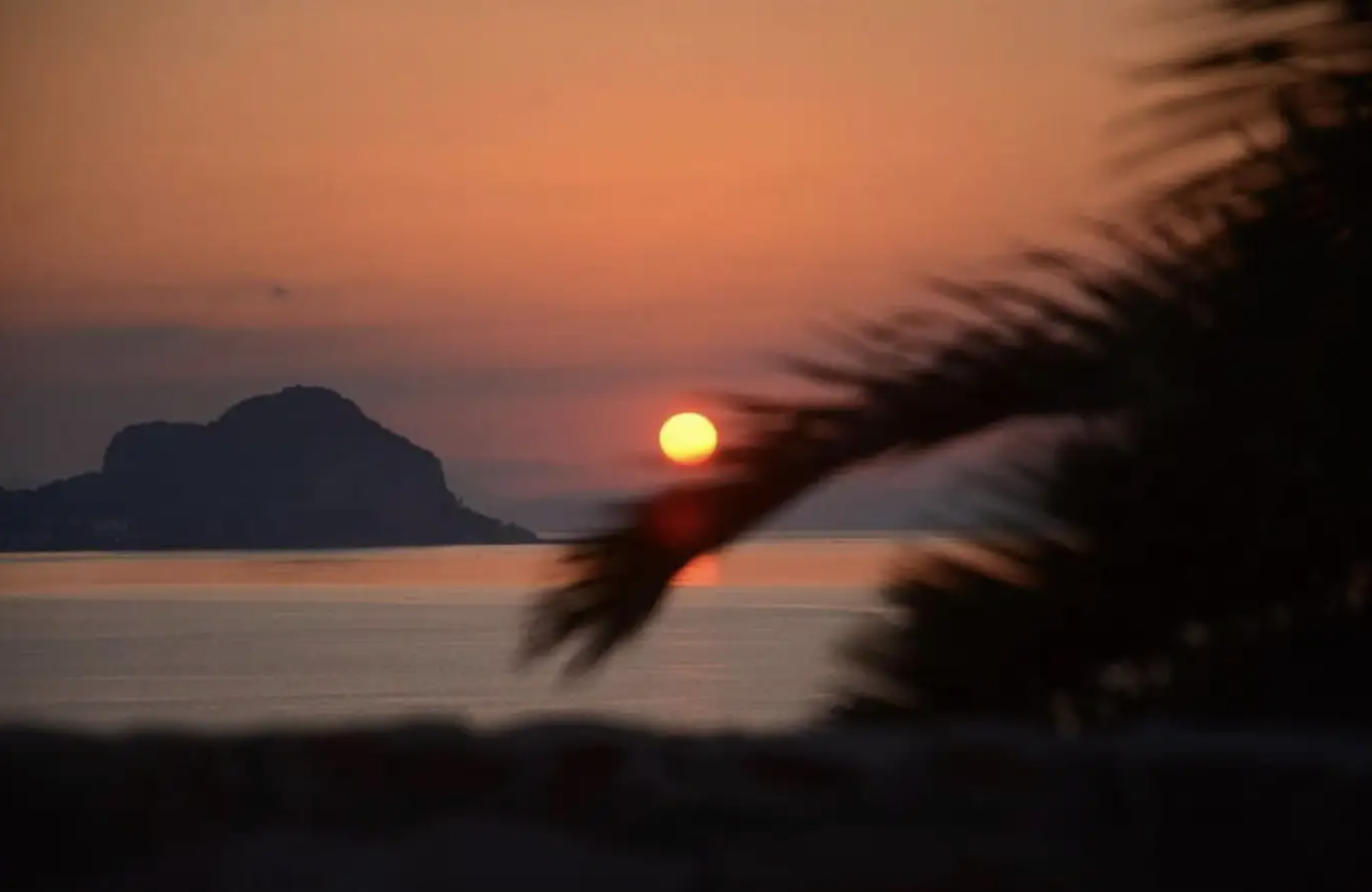 Tour in barca al tramonto