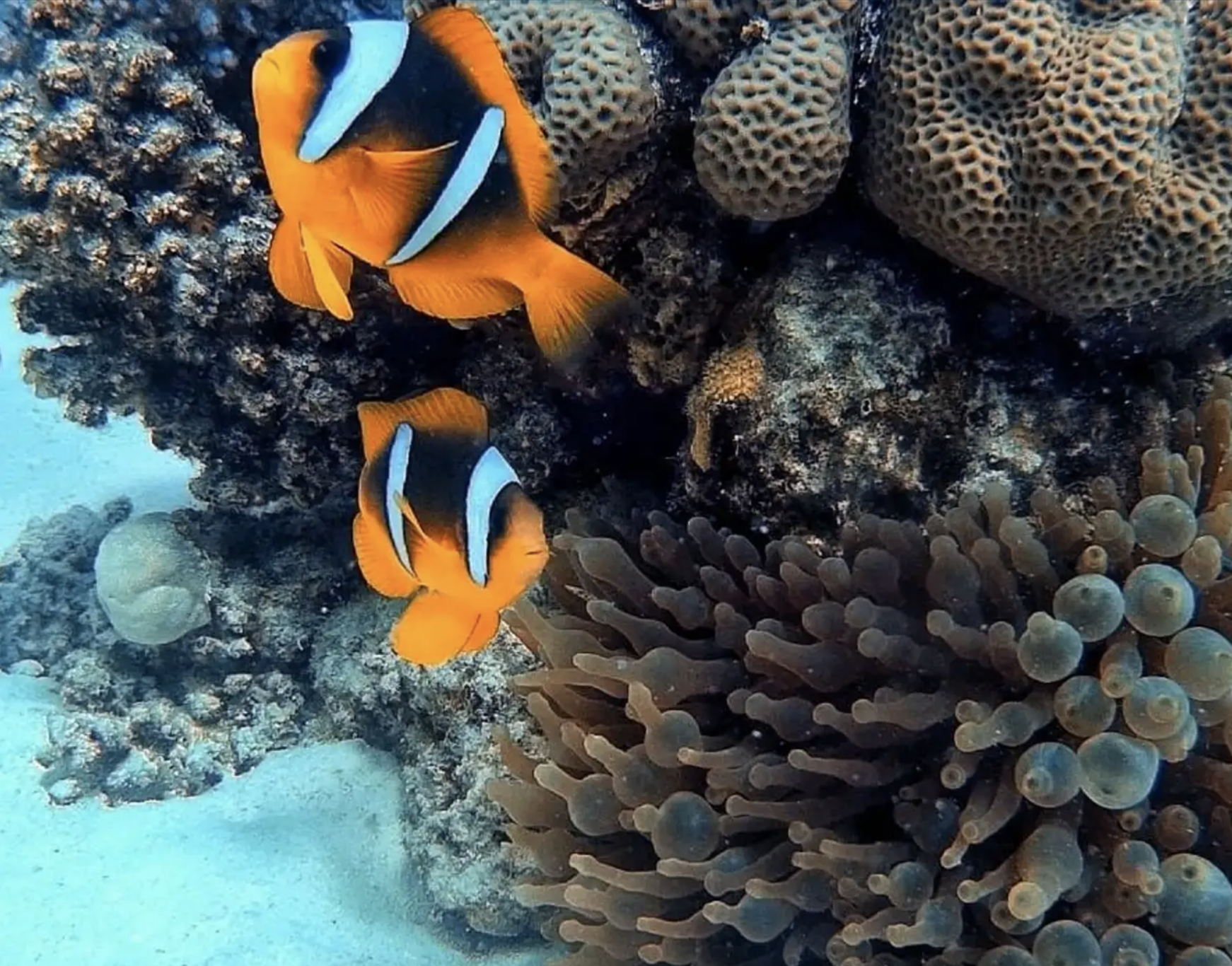 Experiencia de submarinismo