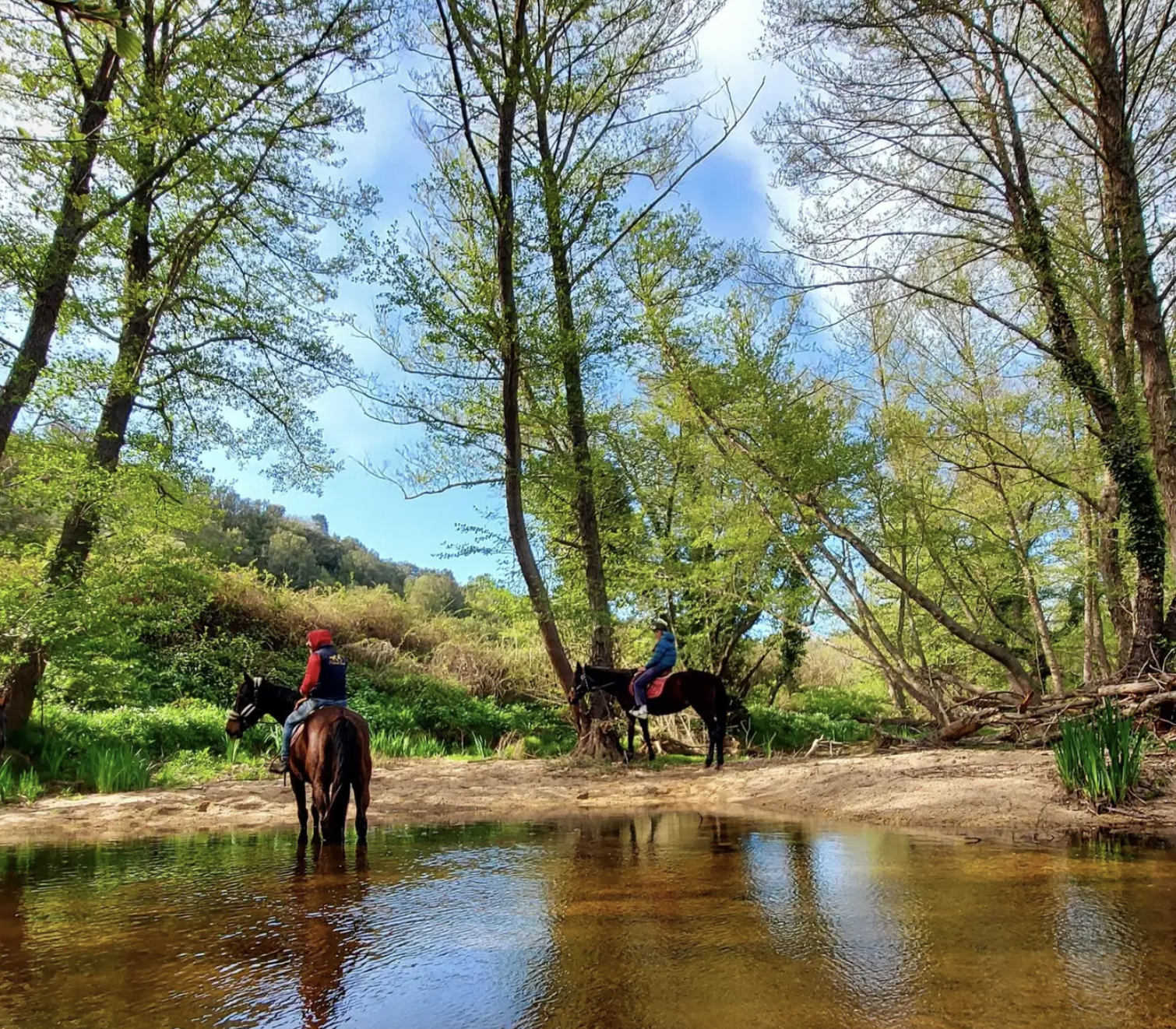 Passeggiata a cavallo in Gallura