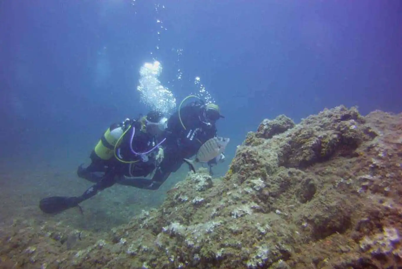Battesimo del mare all'Isola Gallinara sulla Riviera di Ponente