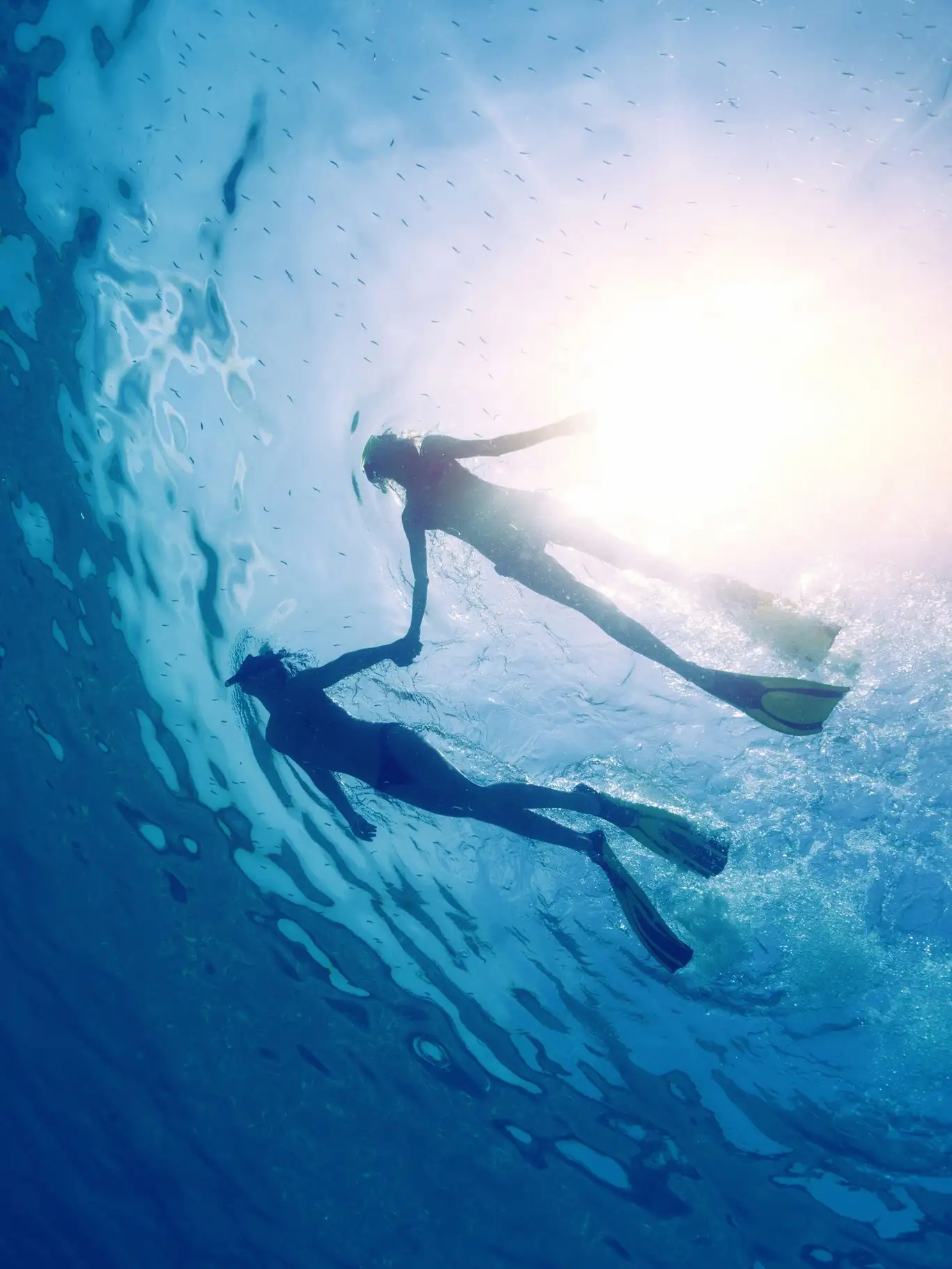 Snorkeling in the marine protected area of Portofino