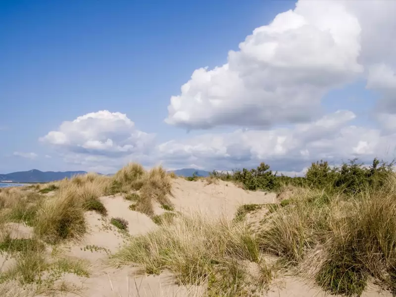 Oasi Dune di Tirrenia