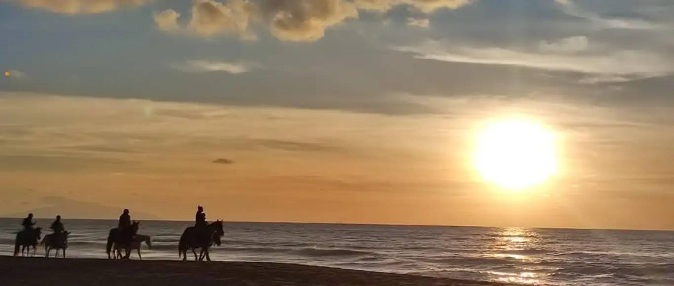 Randonnée à cheval sur la plage de Plaja à Catane