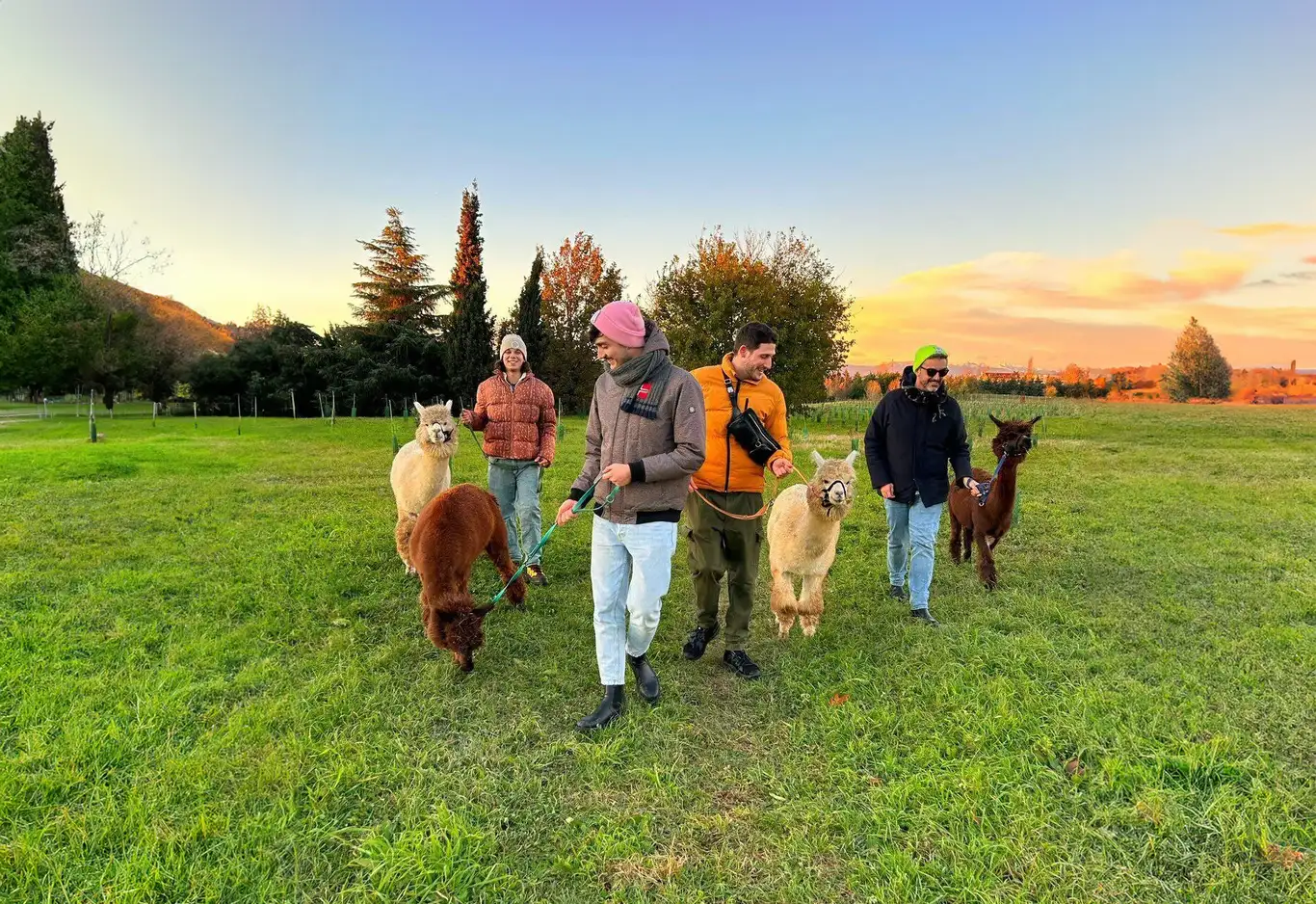Spaziergang mit Alpakas und Aperitif im Parco della Cava, in der Nähe von Mailand
